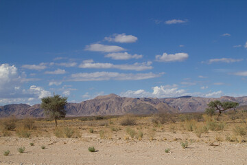 Im Ugab Flußbett in Namibia