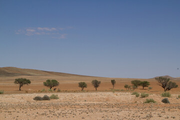 Naklejka na ściany i meble Landschaft in Namibia im Südwesten