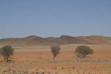 Landschaft in Namibia im Südwesten
