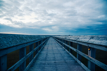 Fototapeta premium Sunset at the Park