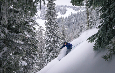 Skiing powder in Montana