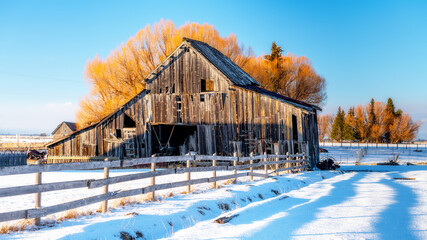 Remote winter barn in Idaho with an orange willow