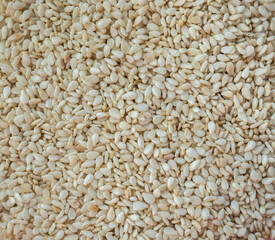 White sesame seeds texture background