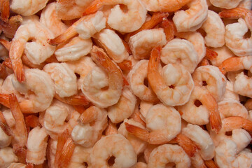 Lots of frozen peeled fresh pink shrimp. View from above. Horizontal format.