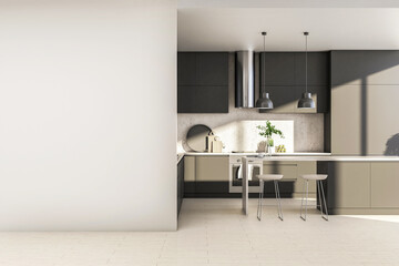 Fototapeta na wymiar Clean kitchen studio interor with gray blank wall.