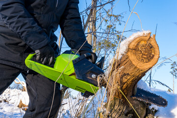 Sawing the trunk of an old oak tree with a green cordless chain saw in the forest among the snow in the bright sun - obrazy, fototapety, plakaty