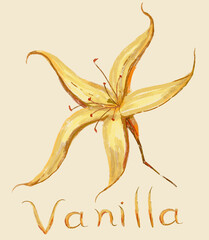 Romantic vanilla flower with original text. Is a good solution.
