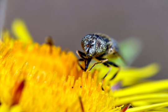 Faulschlamm Bilder Durchsuchen 768 Archivfotos, und