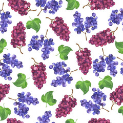 Seamless pattern with summer blue and purple grapes and green leaves on white background. Hand drawn watercolor illustration.