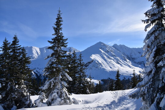 Fototapeta Tatry, zima, śnieg, Dolina Gąsienicowa,  szlak na Kasprowy Wierch,  