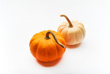 small decorative pumpkins on the white background