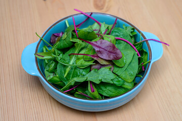 colorful pieces of lettuce in a container