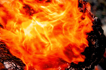 burning stump, sparks texture, fire, flame