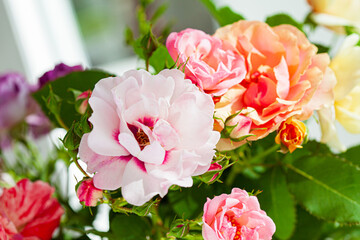 Fototapeta na wymiar colorful roses in the vase