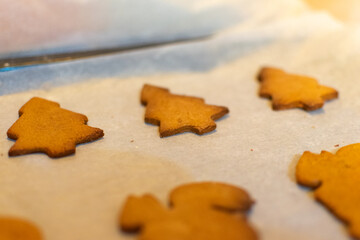 ginger bread and spices