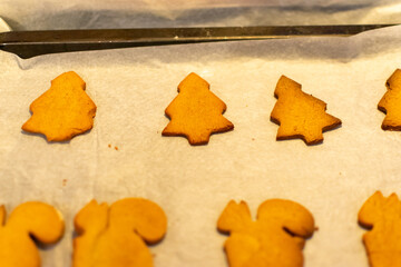 Ginger cookies on a baking tray
