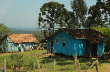 Land in the countryside of Santa Catarina with rustic wooden houses and araucaria trees