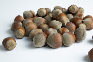 Hazelnut nut isolated on white background