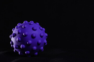 purple colorful bright isolated spiky ball toy, macro