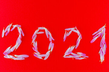 Obraz premium Inscription 2021 with fresh petals on a red background. New Year decoration with purple flower petals. Nature concept. Top view