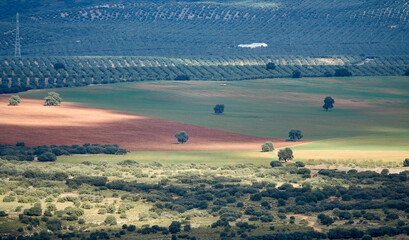 Distant view of an Andalusian pasture of pastel colors between light and shadow