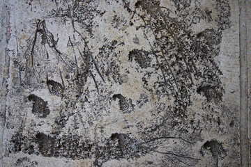 Weathered White Painted Stone Wall