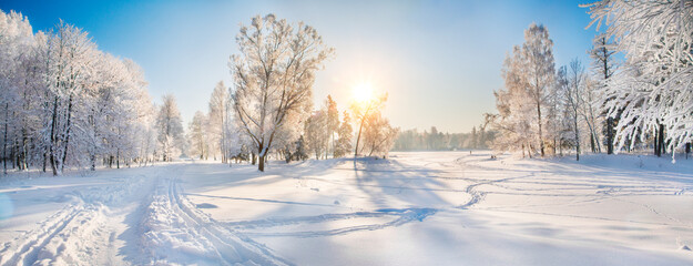 Beautiful winter forest on a sunny day - 399129889