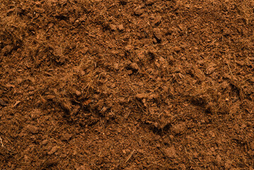 Coconut substrate background.