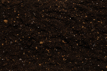 Black land for plant background.
