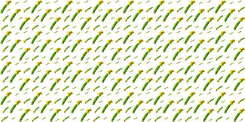 Seamless pattern of young green zucchini  on a weit background