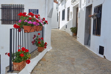 Calle  de pueblo de casas blancas, flores  rojas y flores rosas. Chulilla. Valencia