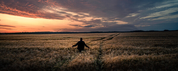 silhouette of a person in a field