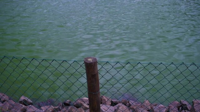 view of the landscape at the lake shore