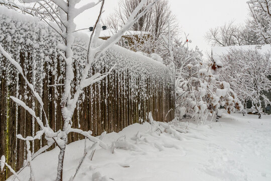 Backyard fence under snow