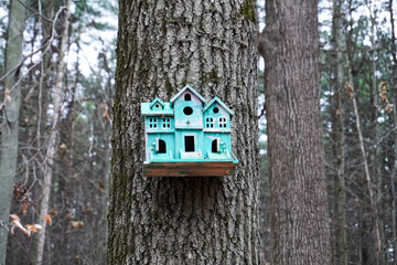 birdhouse on a tree