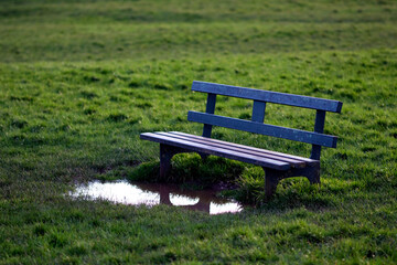 Old metal bench on the grass field and a big puddle in front of it, which makes it impossible to use. Concept photo.
