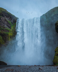Huge waterfall in Iceland with a lot of water and some birds