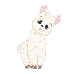 Cute baby llama. Vector illustration in cartoon style.
