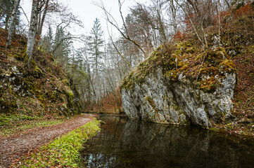 Forest scenery showing a big mossy rock at a still river and a forest way leading along the riverfront. The scenery reflects in the dark water.