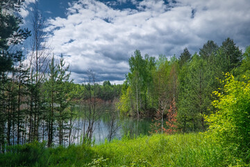 Obraz premium Beautiful summer landscape, forest trees are reflected in calm river water against a background of blue sky and white clouds.