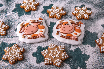 Christmas homemade Gingerbread glazed and painted in the shape of a bull and snowflakes, symbol of the year 2021. Blue background. Holiday sweets for decoration and gifts.