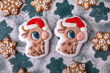 Christmas homemade Gingerbread glazed and painted in the shape of a bull and snowflakes, symbol of the year 2021. Blue background. Holiday sweets for decoration and gifts.