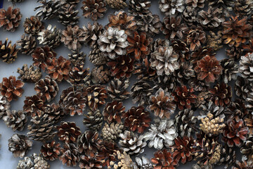 lot of natural brown pine cones