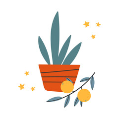 Home flowerpot with a plant and tangerine.Template for congratulations, invitations, stickers,special give away package, vector icon, flat illustration. Merry Christmas card. Cozy poster. 