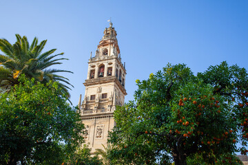 Patio de los Naranjos, Córdoba mosque. 