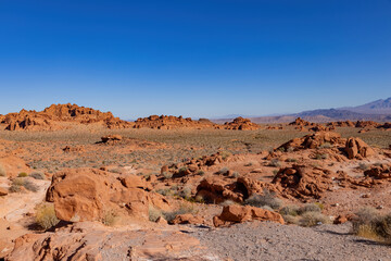 Fototapeta premium Sunny view of the Valley of Fire State Park