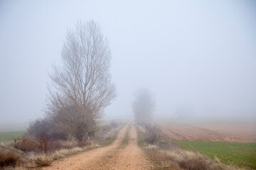 Obraz na płótnie Canvas road in the fog, land of Castille 