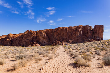 Fototapeta premium Beautiful landscape along the Firewave Trail of the Valley of Fire State Park