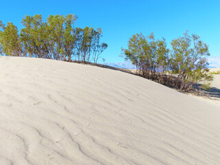 Fototapeta na wymiar Death Valley Mesquite Sand Dunes