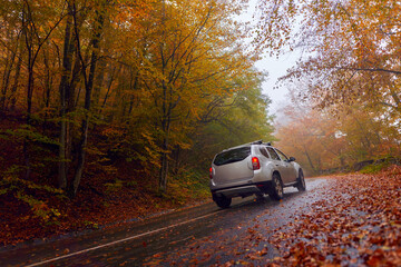 Car on a wet road in the forest
